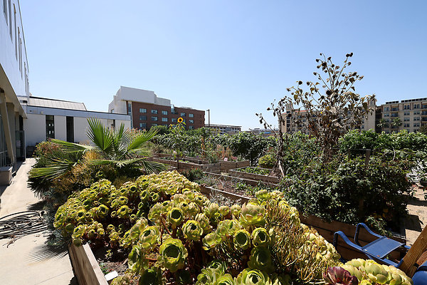 103A E3 Kitchen Garden 0049