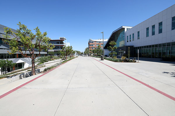 103A E3 D3 Sidewalk 0290