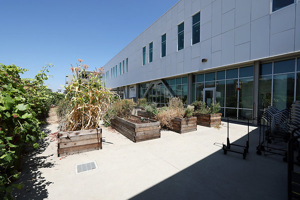 103A E3 Kitchen Garden 0046