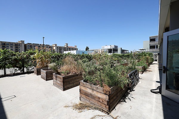 103A E3 Kitchen Garden 0044