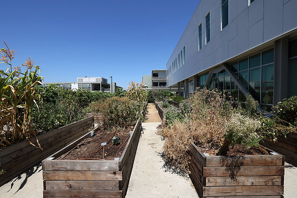 103A E3 Kitchen Garden 0045