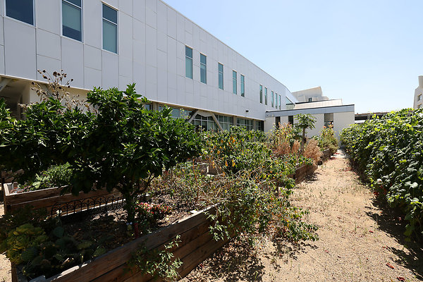 103A E3 Kitchen Garden 0047