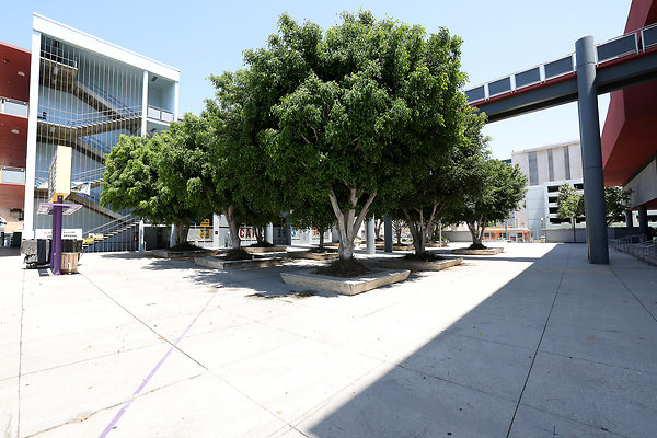 103A C4 Exterior 0516