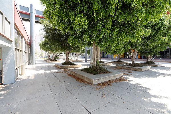 103A C1 Exterior 0520