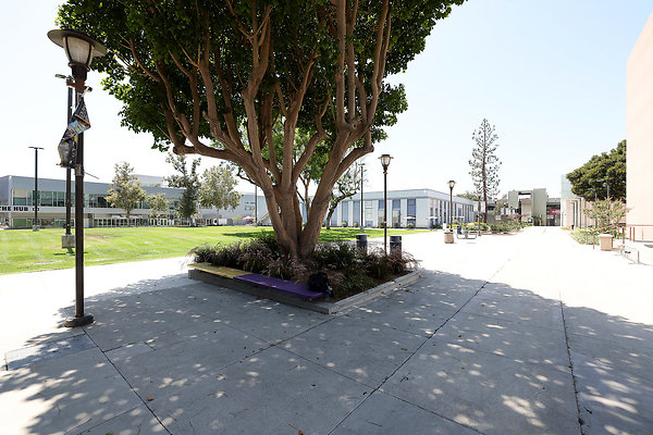 103A North Quad 0515