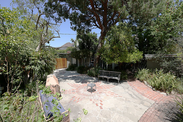577A Backyard 0175