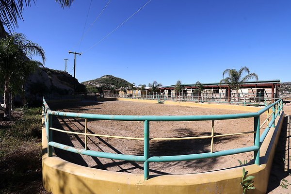 Corral5 0441 Corral5 0441