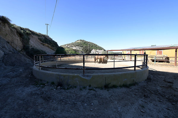 Corral6 0447 Corral6 0447