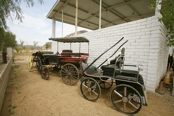 Buggies 0058 1 Buggies 0058 1