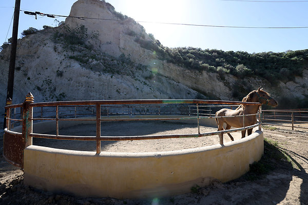 Corral6 0451 Corral6 0451