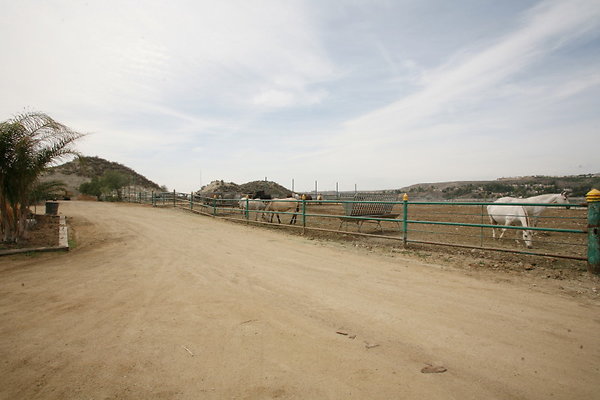 Barn End Corrals 0151 1 Barn End Corrals 0151 1