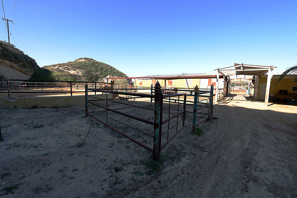 Corral6 0446 Corral6 0446