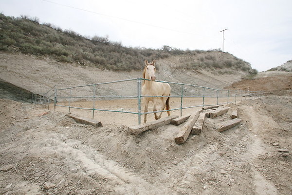 Corral Stud 0098 1 Corral Stud 0098 1