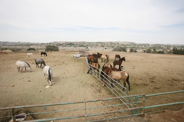 Corral1 & 2 0026 1 Corral1 & 2 0026 1