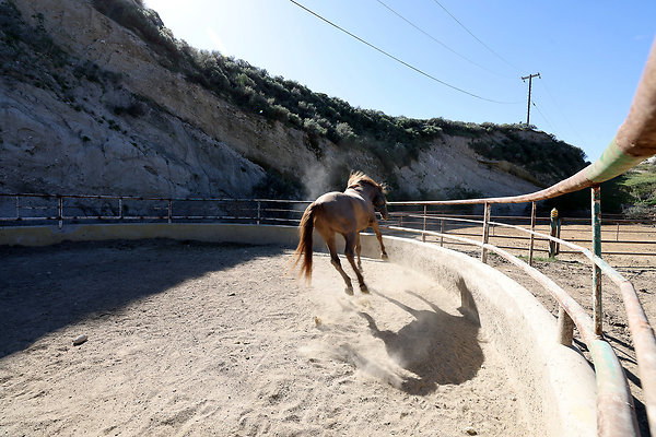 Corral6 0452 Corral6 0452