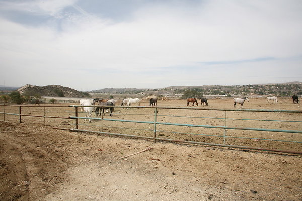 Corral1 0024 1 Corral1 0024 1