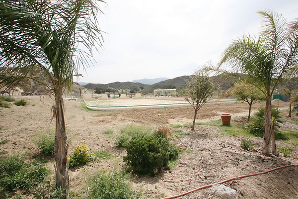 Corral3 0029 1 Corral3 0029 1