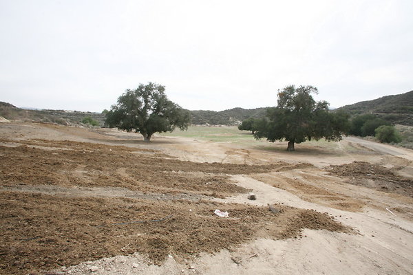 Meadow Valley 0065 1 Meadow Valley 0065 1