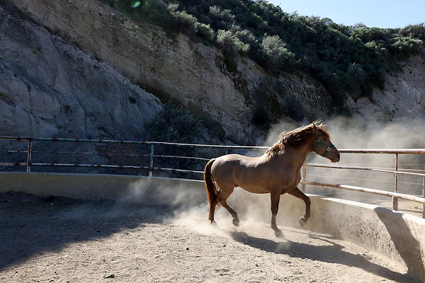 Corral6 0468 Corral6 0468