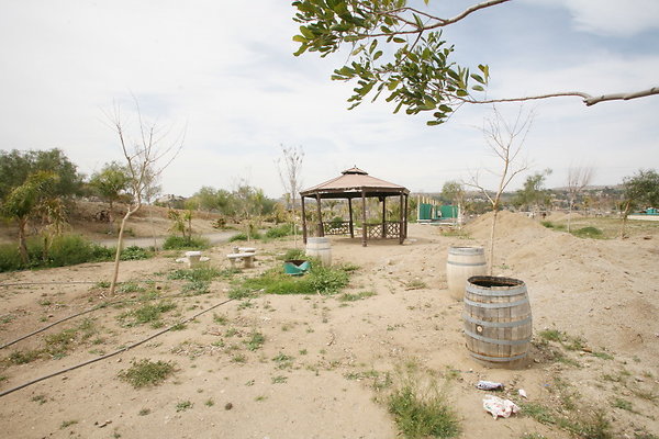 Corral3 Picnic Area 0045 1 Corral3 Picnic Area 0045 1