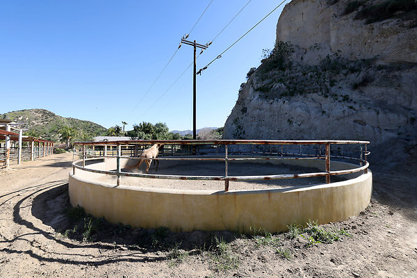 Corral6 0449 Corral6 0449