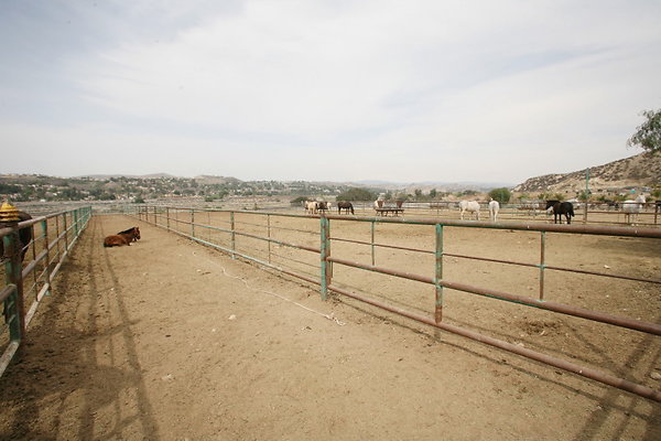 Barn End Corrals 0108 1 Barn End Corrals 0108 1