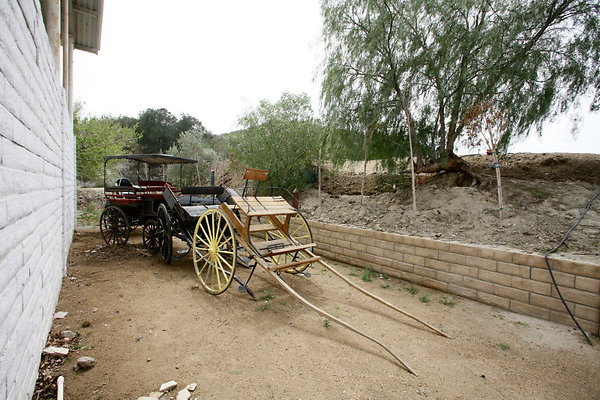 Buggies 0057 1 Buggies 0057 1