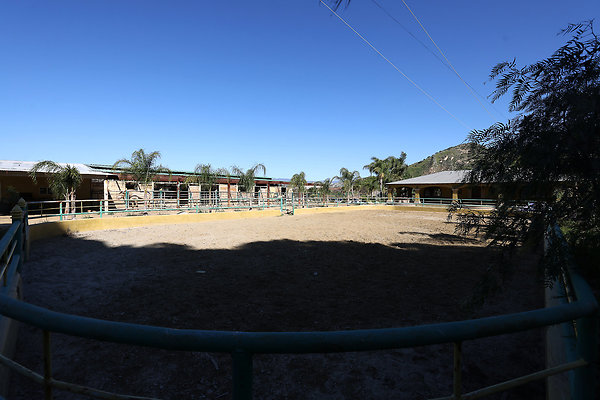 Corral5 0445 Corral5 0445