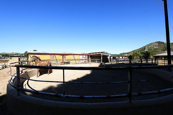 Corral6 0448 Corral6 0448