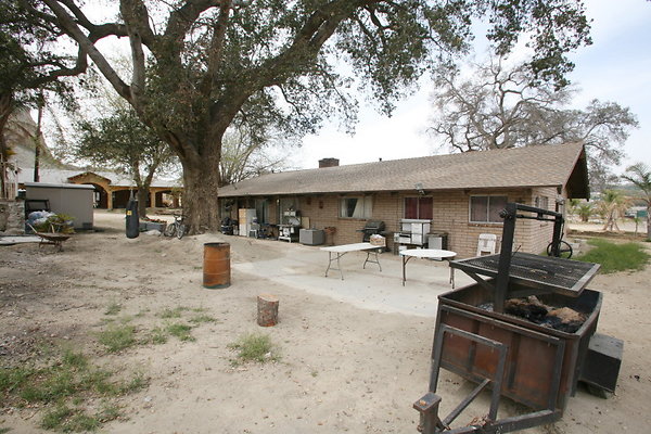 Backyard 0148 1