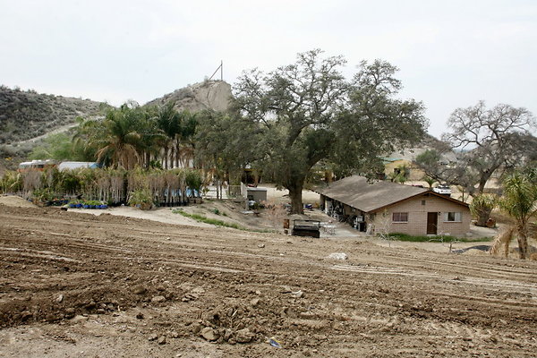 LS House Ext 0081 1
