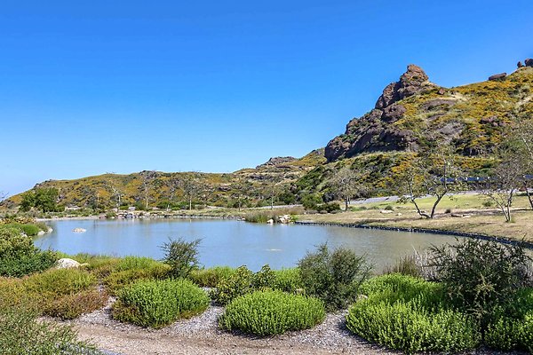 533A 0008 lake 1