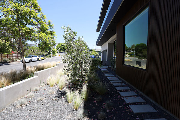 139A Front Yard 0159