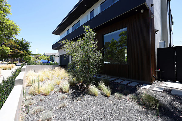 139A Front Yard 0161
