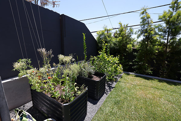 139A Backyard 0066