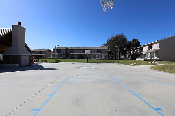 725A Basketball Court 0069 725A Basketball Court 0069
