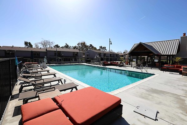 725A Pool 0080 725A Pool 0080
