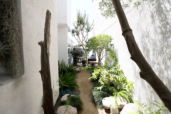504A Path to Rear Patio 0664