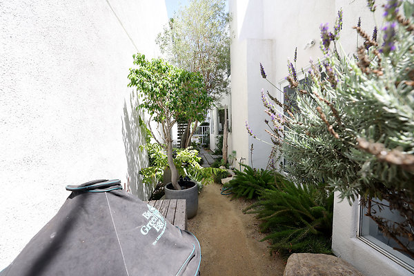 504A Path to Rear Patio rev 0665