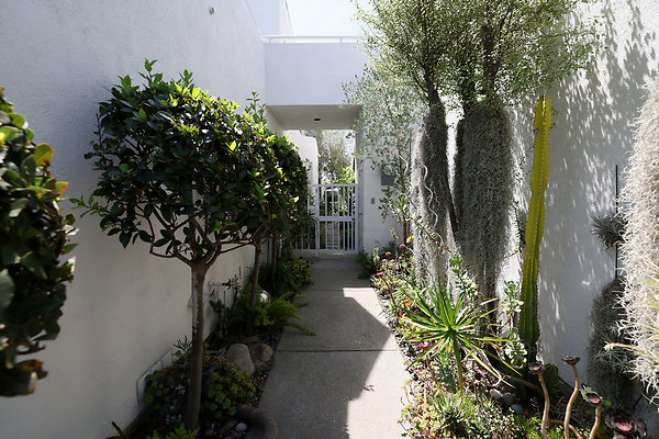 504A Front Walk Entrance 0653