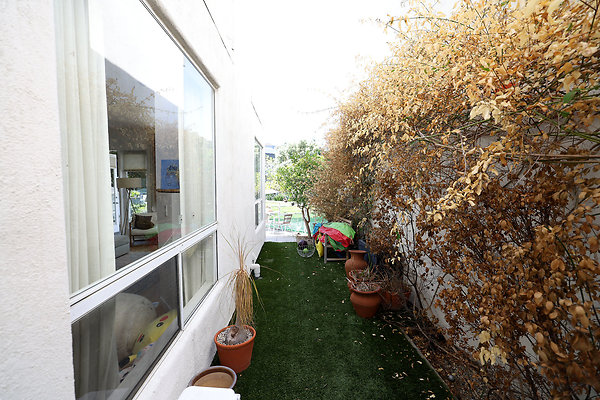 778A Path to Rar Patio 0368 778A Path to Rar Patio 0368