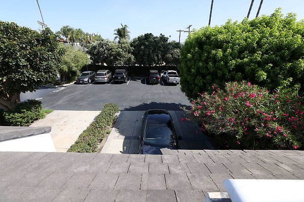778A Front Deck View 0396