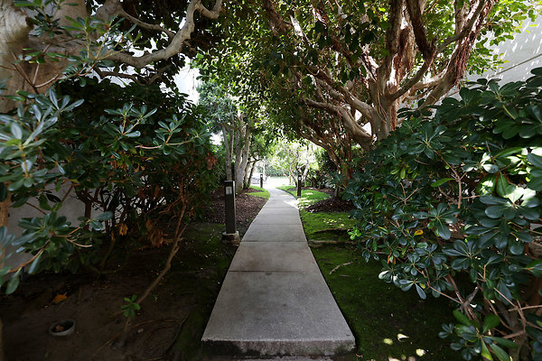 779A Side Walk to Lagoon rev 0483