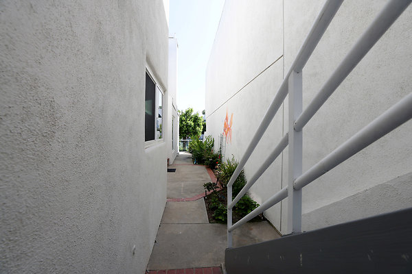 779A Path to Rear Patio 0436