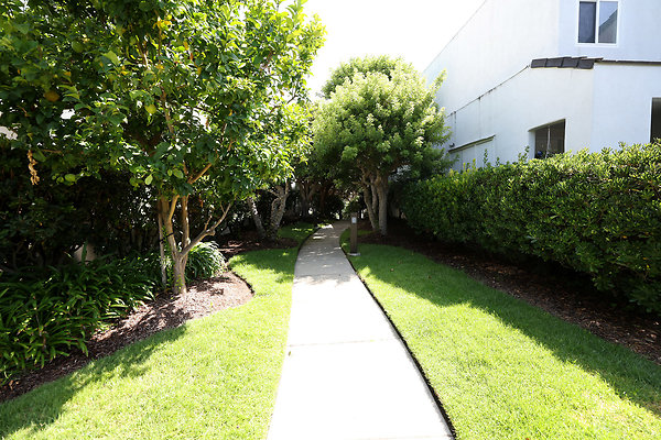 779A Side Walk to Lagoon 481