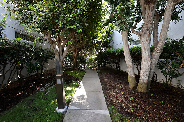 779A Side Walk to Lagoon 0482