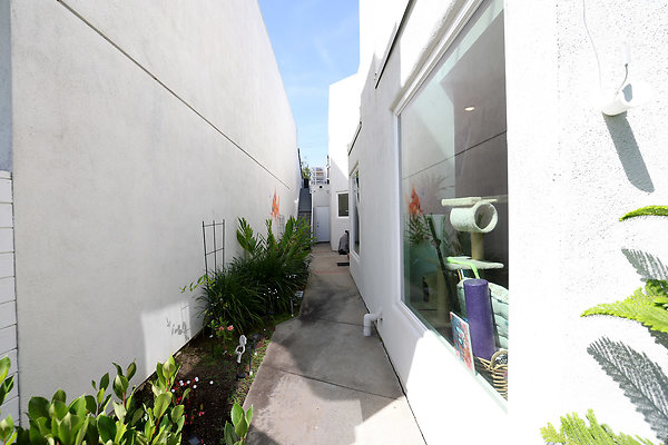 779A Path to Rear Patio rev 0433