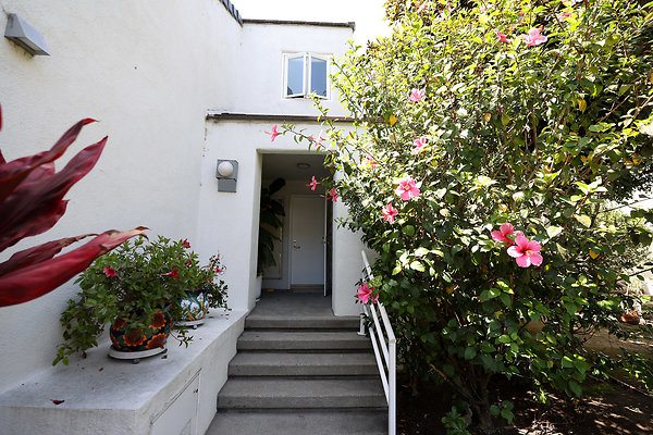 780A Front Walk Entrance 1185