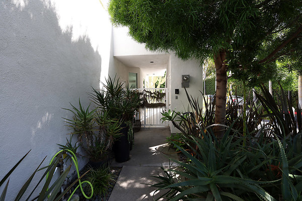 781A Front Walk Entrance 0572