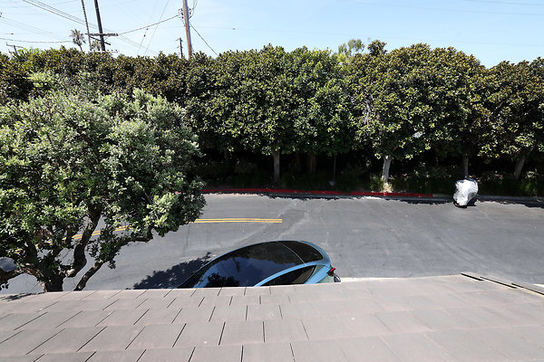 781A Front Deck View 0570